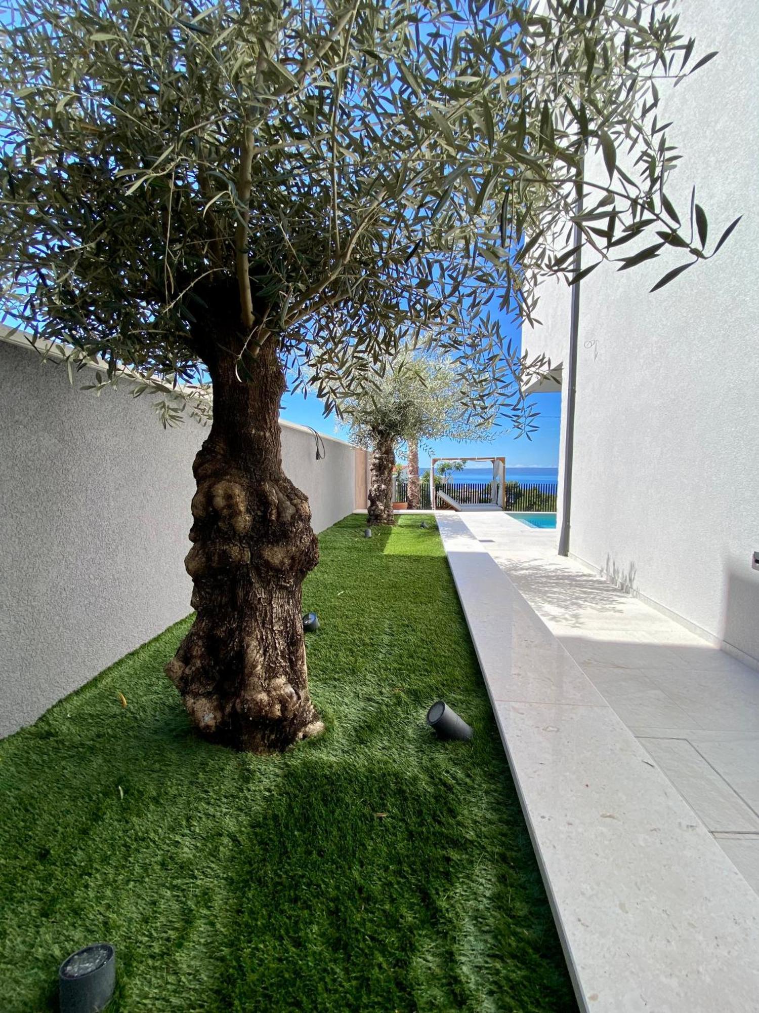מאקרסקה Villa 5 מראה חיצוני תמונה